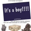 felicitatiekaartje It's a boy