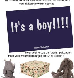 felicitatiekaartje It's a boy