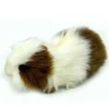 Hansa Cavia 3735 roodbruin / wit 20 u00d7 9 u00d7 10 cm
