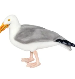 Hansa Creation albatros