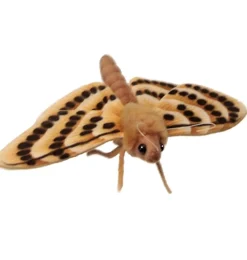 Hansa Creation beige mot