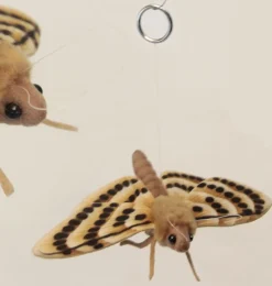 Hansa Creation beige mot