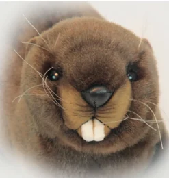 Hansa Creation bever