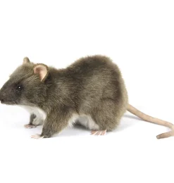 Hansa Creation bruine rat 19 cm