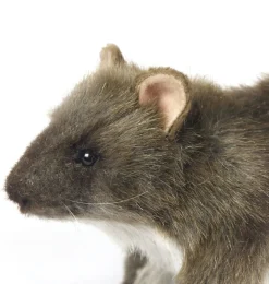 Hansa Creation bruine rat 19 cm