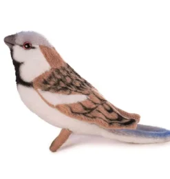 Hansa creation huismus