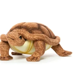 Hansa creation schildpad