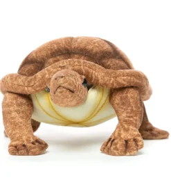 Hansa creation schildpad