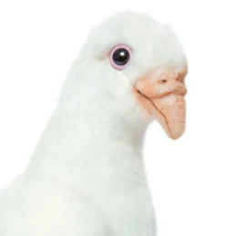 Hansa Creation witte duif