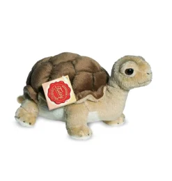 Hermann Teddy / schildpad