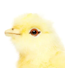 Kuiken Hansa Toy 12 cm