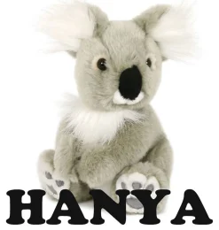 Minikane/Semo koalabeer Hanya