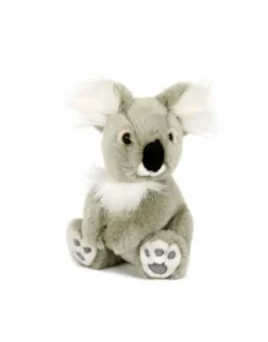 Minikane/Semo koalabeer Hanya