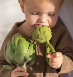 Oli & Carol artichok rammelaar