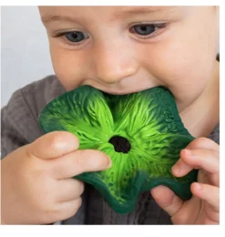 Oli & carol Kendall de kool, knuffeldoekje en bijtspeeltje