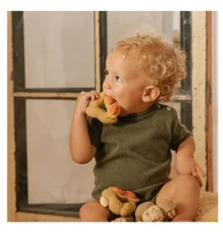 Oli & Carol Paco de pinda bad/bijtspeeltje