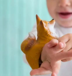 Oli & Carol Rob de vos bijtspeeltje, badspeeltje en armband