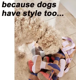 OYOY hondenspeelgoed Ashi bot