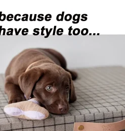 OYOY hondenspeelgoed Ashi bot / small