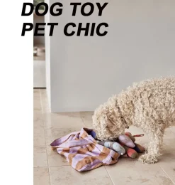 OYOY hondenspeelgoed Ashi bot