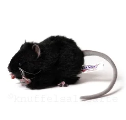 zwarte Hansa knuffelrat