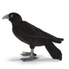 Zwarte kraai Hansa 31 cm
